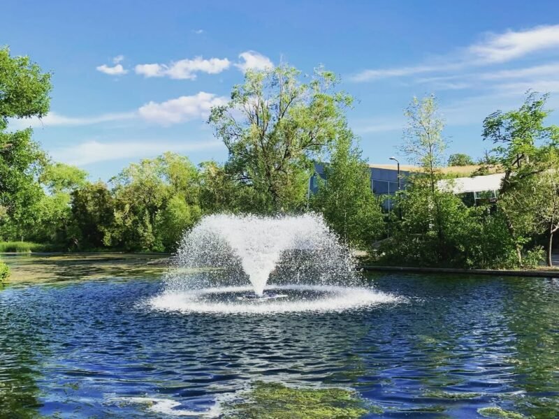 Fountain pond, summer blue