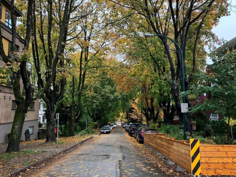 Autumn street, West End
