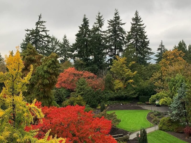 Peak colour, Quarry Garden