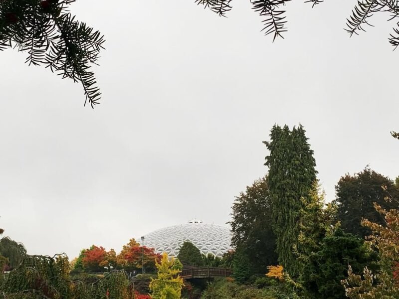 Bloedel dome through the trees