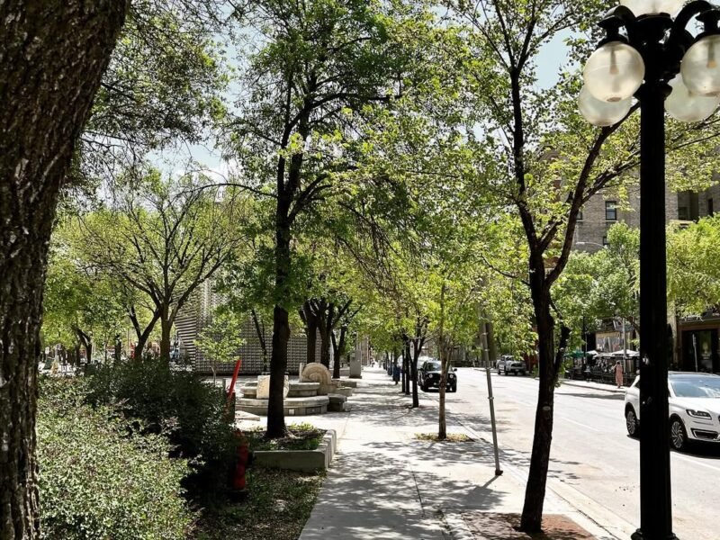 Broadway Avenue, summer shade