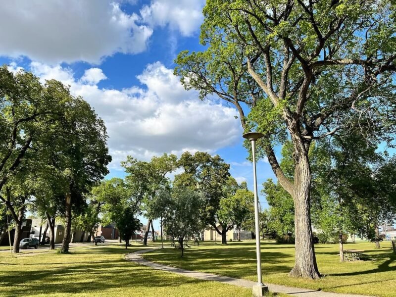 Neighbourhood park, July afternoon