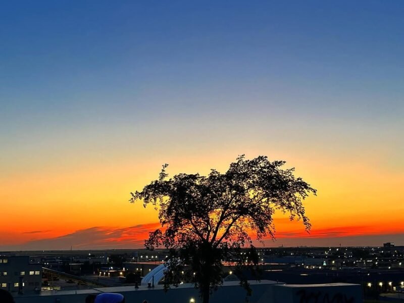 Prairie sunset, lone tree silhouette