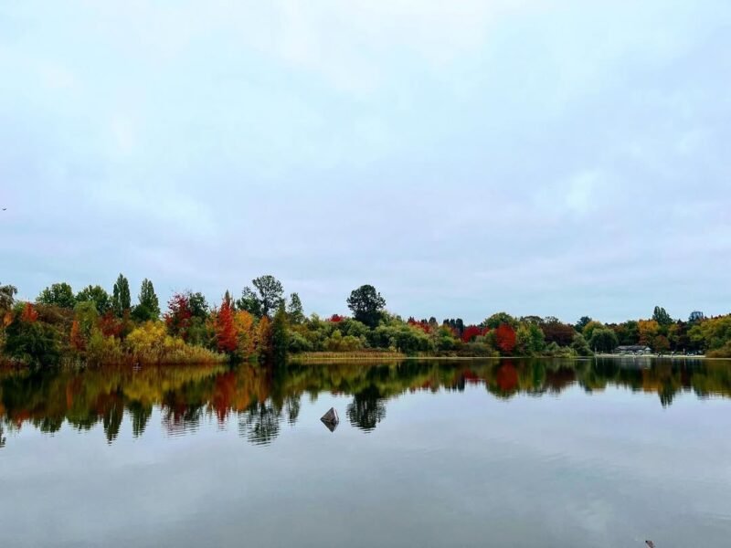 Autumn reflections, VanDusen