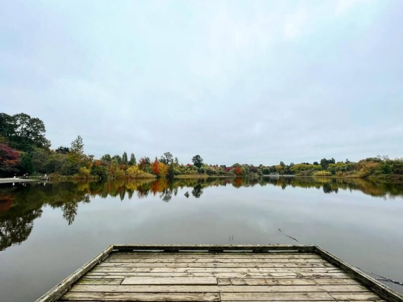 Dock on the lake, October