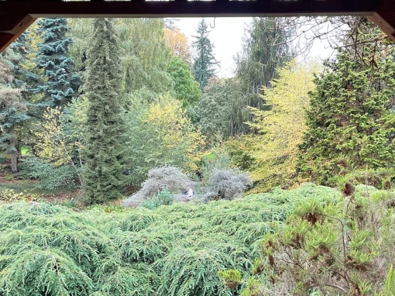 Garden pavilion view, VanDusen