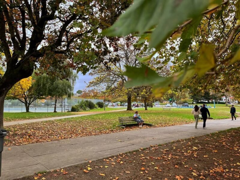 Autumn park, afternoon walk