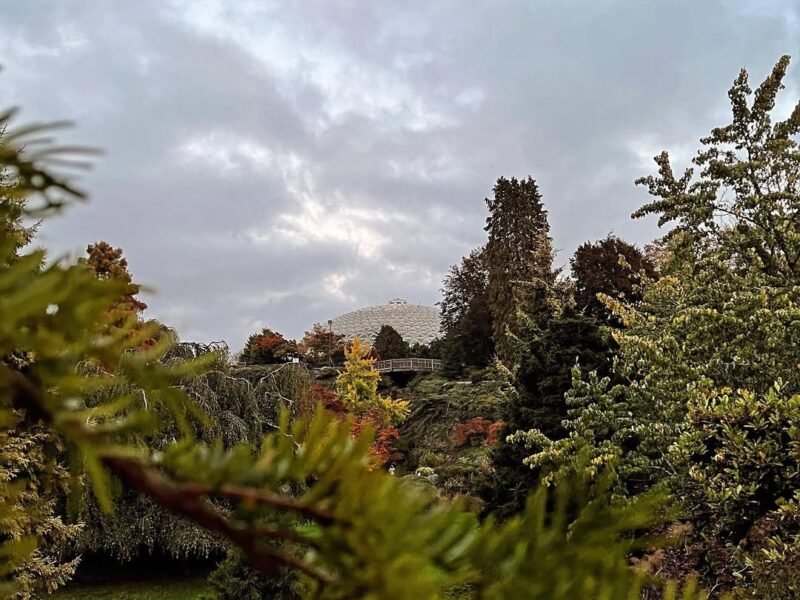 Bloedel dome, grey sky