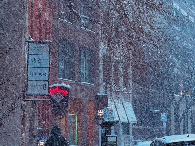 Blizzard on Graham Avenue