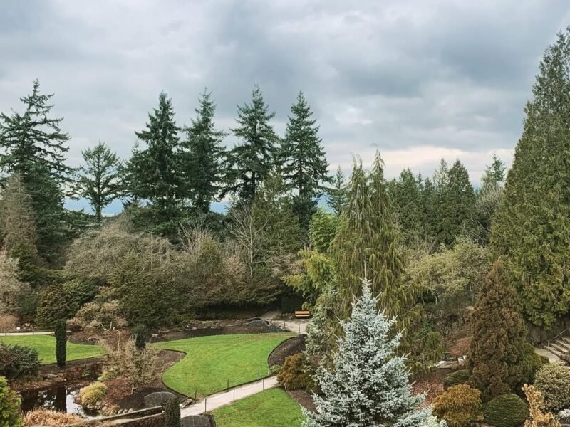 Queen Elizabeth Park, early spring