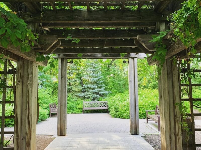 Garden pergola, summer green