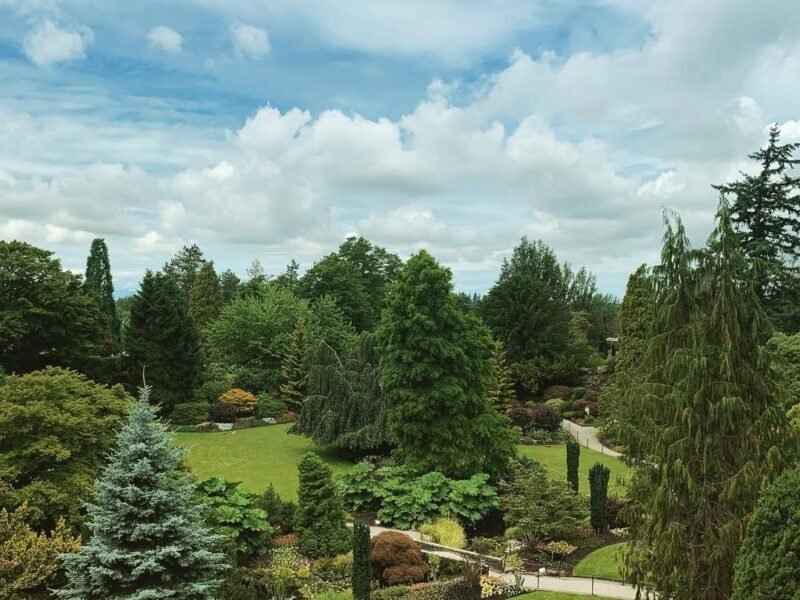 Quarry Garden, Queen Elizabeth Park