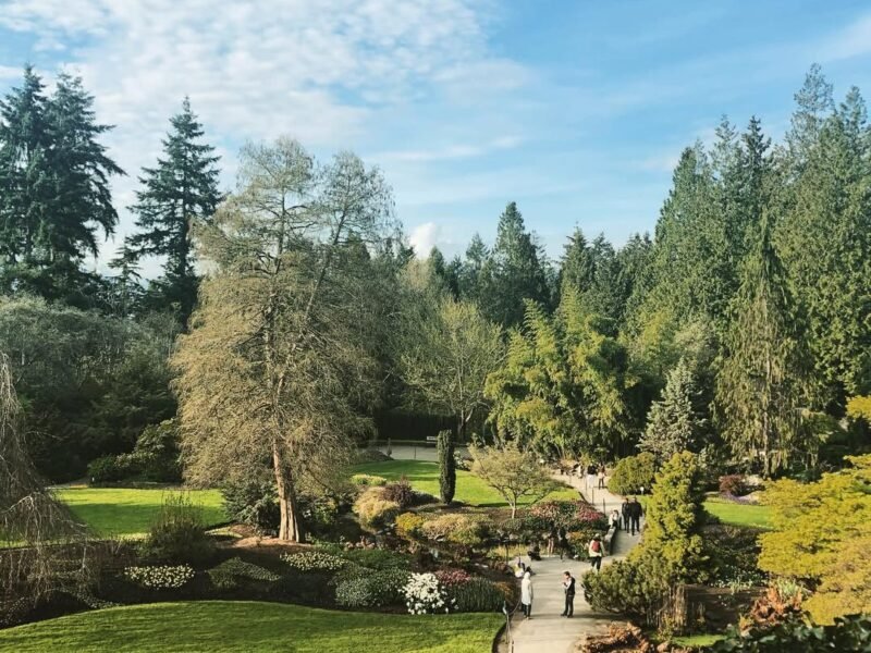 Quarry Garden, spring afternoon